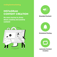 Load image into Gallery viewer, Instagram Content Creation &amp; Management
