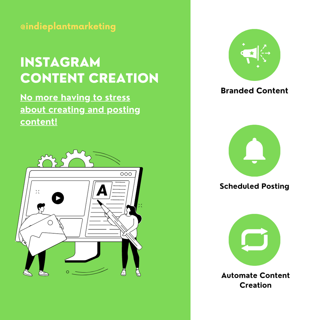 Instagram Content Creation & Management