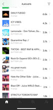 Load image into Gallery viewer, Spotify Playlist Placement (3-5 Playlists)
