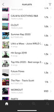 Load image into Gallery viewer, Spotify Playlist Placement (3-5 Playlists)
