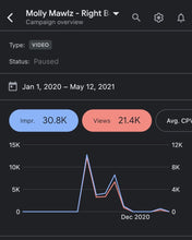Load image into Gallery viewer, YouTube Ads (10K-15K Views)
