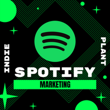 Load image into Gallery viewer, Spotify Playlist Placement (3-5 Playlists)
