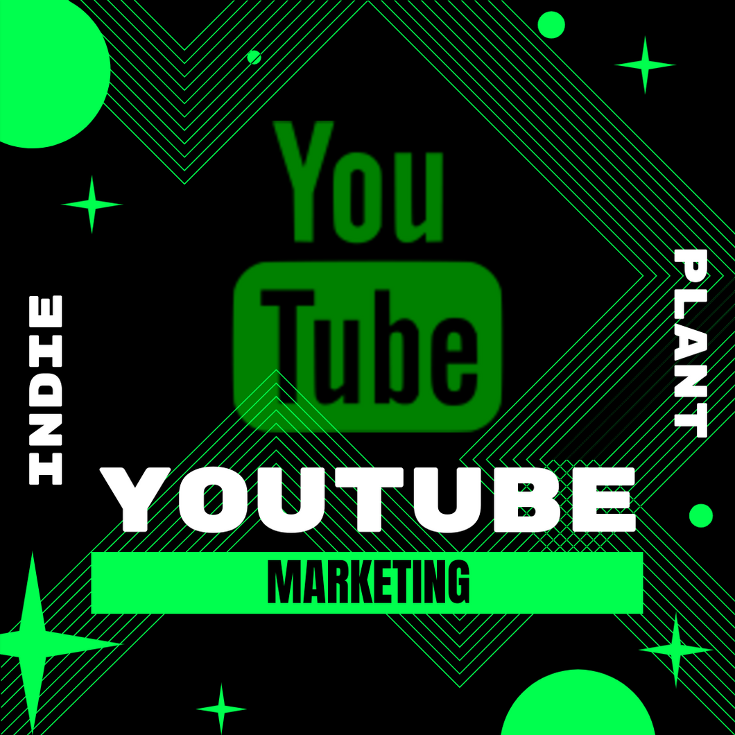 YouTube Ads (10K-15K Views)