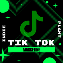 Load image into Gallery viewer, Tik Tok Influencer Videos (500K Follower Reach)
